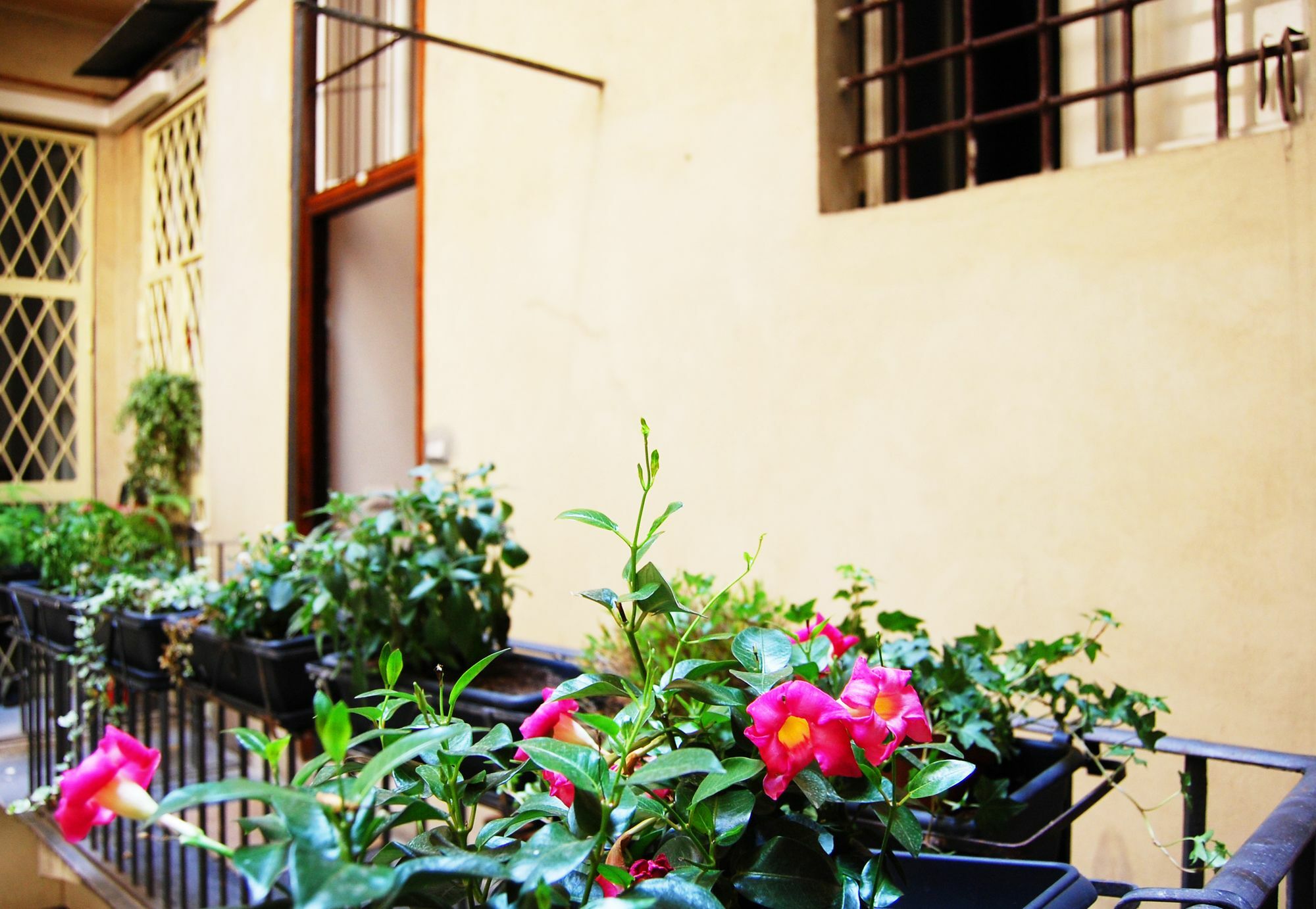 Banco 19 B&B Roma Exterior foto